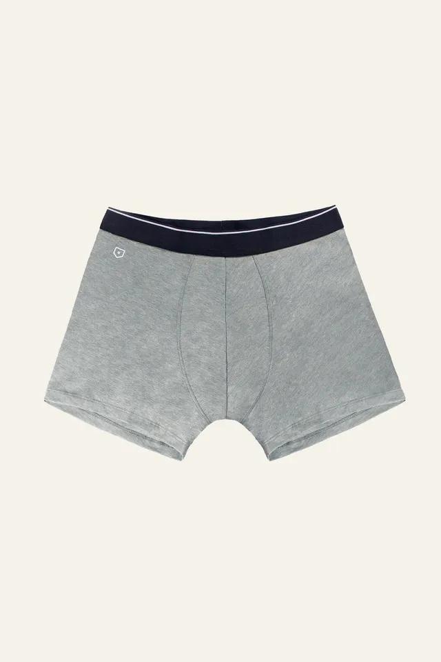le-pantalon-accessoires-homme-boxer-gris-chin-coton image 1